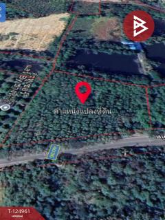 ขายที่ดิน เนื้อที่ 3 ไร่ 3 งาน 4 ตร.วา นายายอาม จันทบุรี-202510241619291761297569951.jpg