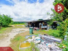 ขายที่ดิน ซอยหมู่บ้านฉัตรเพชร เนื้อที่ 1 ไร่ ถนนกิ่งแก้ว-หนามแดง บางพลี สมุทรปราการ-202510241627411761298061086.jpg