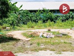 ขายที่ดิน ซอยหมู่บ้านฉัตรเพชร เนื้อที่ 1 ไร่ ถนนกิ่งแก้ว-หนามแดง บางพลี สมุทรปราการ-202510241627411761298061615.jpg