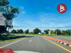 ขายที่ดิน เนื้อที่ 25 ไร่ 1 งาน 31.2 ตร.วา ทัพทัน อุทัยธานี-202510241645131761299113982.jpg