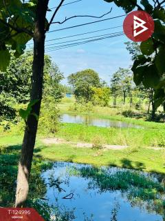 ขายที่ดิน เนื้อที่ 25 ไร่ 1 งาน 31.2 ตร.วา ทัพทัน อุทัยธานี-202510241645151761299115904.jpg