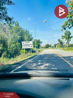 ขายที่ดิน เนื้อที่ 25 ไร่ 1 งาน 31.2 ตร.วา ทัพทัน อุทัยธานี-202510241645161761299116443.jpg