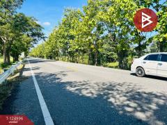 ขายที่ดิน เนื้อที่ 25 ไร่ 1 งาน 31.2 ตร.วา ทัพทัน อุทัยธานี-202510241645181761299118051.jpg