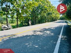 ขายที่ดิน เนื้อที่ 25 ไร่ 1 งาน 31.2 ตร.วา ทัพทัน อุทัยธานี-202510241645181761299118597.jpg