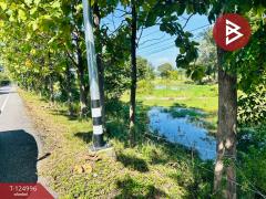 ขายที่ดิน เนื้อที่ 25 ไร่ 1 งาน 31.2 ตร.วา ทัพทัน อุทัยธานี-202510241645191761299119684.jpg