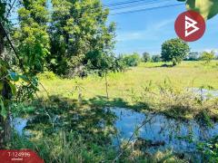 ขายที่ดิน เนื้อที่ 25 ไร่ 1 งาน 31.2 ตร.วา ทัพทัน อุทัยธานี-202510241645201761299120800.jpg