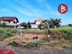 ขายที่ดินถมแล้ว เนื้อที่ 1 งาน 80 ตร.วา คลองหลวง ปทุมธานี-202510241645431761299143759.jpg