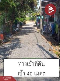 ขายที่ดินถมแล้ว เนื้อที่ 1 งาน 80 ตร.วา คลองหลวง ปทุมธานี-202510241645451761299145378.jpg