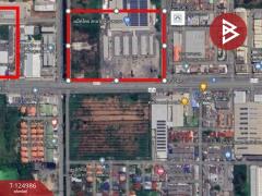 ขายที่ดินถมแล้ว เนื้อที่ 1 งาน 80 ตร.วา คลองหลวง ปทุมธานี-202510241645461761299146425.jpg