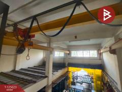 ขายอาคารพาณิชย์ หมู่บ้านทรัพย์รุ่งเรือง บางปู สมุทรปราการ-202510241648201761299300063.jpg