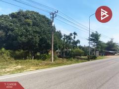 ขายที่ดิน เนื้อที่ 8 ไร่ 3 งาน 92.1 ท่าใหม่ จันทบุรี-202510241659261761299966907.jpg