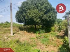 ขายที่ดิน เนื้อที่ 8 ไร่ 3 งาน 92.1 ท่าใหม่ จันทบุรี-202510241659271761299967430.jpg