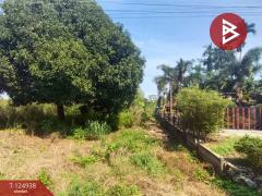 ขายที่ดิน เนื้อที่ 8 ไร่ 3 งาน 92.1 ท่าใหม่ จันทบุรี-202510241659281761299968396.jpg