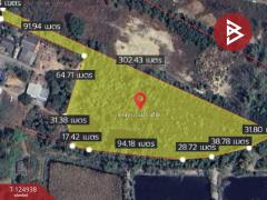 ขายที่ดิน เนื้อที่ 8 ไร่ 3 งาน 92.1 ท่าใหม่ จันทบุรี-202510241659281761299968933.jpg