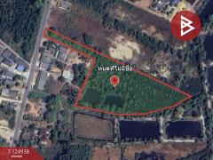 ขายที่ดิน เนื้อที่ 8 ไร่ 3 งาน 92.1 ท่าใหม่ จันทบุรี-202510241659291761299969450.jpg