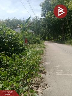 ขายที่ดิน เนื้อที่ 1 งาน บ้านค่าย ระยอง-202510241704211761300261571.jpg