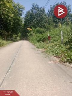 ขายที่ดิน เนื้อที่ 1 งาน บ้านค่าย ระยอง-202510241704221761300262127.jpg