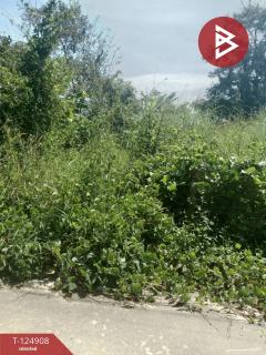 ขายที่ดิน เนื้อที่ 1 งาน บ้านค่าย ระยอง-202510241704231761300263164.jpg