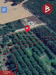 ขายที่ดิน เนื้อที่ 1 งาน บ้านค่าย ระยอง-202510241704231761300263686.jpg