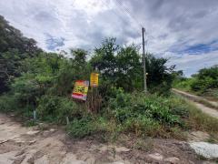 Vายถูกที่สุด ที่ดินบางเลน 772 ตารางวา(แบ่งครึ่งได้) ติดถนนคอนกรีตสาธารณะ 3 ด้านถมแล้ว บ้านสวนเอก จ.นครปฐม-202510241705071761300307176.jpeg