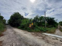 Vายถูกที่สุด ที่ดินบางเลน 772 ตารางวา(แบ่งครึ่งได้) ติดถนนคอนกรีตสาธารณะ 3 ด้านถมแล้ว บ้านสวนเอก จ.นครปฐม-202510241705071761300307707.jpeg