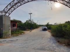 Vายถูกที่สุด ที่ดินบางเลน 772 ตารางวา(แบ่งครึ่งได้) ติดถนนคอนกรีตสาธารณะ 3 ด้านถมแล้ว บ้านสวนเอก จ.นครปฐม-202510241705091761300309297.jpeg