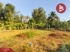 ขายที่ดิน เนื้อที่ 2 งาน 34.9 ตร.วา หนองบัว จันทบุรี