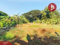 ขายที่ดิน เนื้อที่ 2 งาน 34.9 ตร.วา หนองบัว จันทบุรี-202510241705581761300358281.jpg