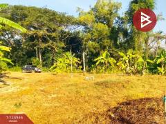 ขายที่ดิน เนื้อที่ 2 งาน 34.9 ตร.วา หนองบัว จันทบุรี-202510241705581761300358809.jpg