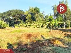 ขายที่ดิน เนื้อที่ 2 งาน 34.9 ตร.วา หนองบัว จันทบุรี-202510241705591761300359338.jpg