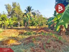 ขายที่ดิน เนื้อที่ 2 งาน 34.9 ตร.วา หนองบัว จันทบุรี-202510241705591761300359859.jpg