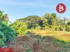 ขายที่ดิน เนื้อที่ 2 งาน 34.9 ตร.วา หนองบัว จันทบุรี-202510241706001761300360385.jpg