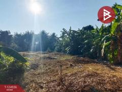 ขายที่ดิน เนื้อที่ 2 งาน 34.9 ตร.วา หนองบัว จันทบุรี-202510241706001761300360911.jpg