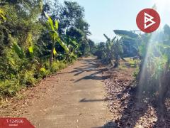 ขายที่ดิน เนื้อที่ 2 งาน 34.9 ตร.วา หนองบัว จันทบุรี-202510241706011761300361436.jpg