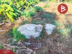 ขายที่ดิน เนื้อที่ 2 งาน 34.9 ตร.วา หนองบัว จันทบุรี-202510241706011761300361952.jpg