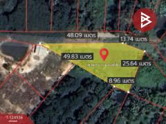 ขายที่ดิน เนื้อที่ 2 งาน 34.9 ตร.วา หนองบัว จันทบุรี-202510241706021761300362479.jpg