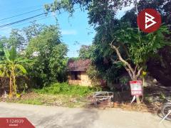 ขายที่ดินพร้อมปลูกสร้าง เนื้อที่ 64 ตร.วา ท่าช้าง จันทบุรี