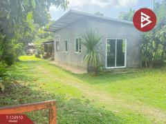 ขายบ้านเดี่ยวพร้อมที่ดิน เนื้อที่ 3 งาน 15 ตร.วา หางดง เชียงใหม่-202510241716331761300993152.jpg