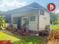 ขายบ้านเดี่ยวพร้อมที่ดิน เนื้อที่ 3 งาน 15 ตร.วา หางดง เชียงใหม่-202510241716341761300994954.jpg