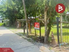 ขายบ้านเดี่ยวพร้อมที่ดิน เนื้อที่ 3 งาน 15 ตร.วา หางดง เชียงใหม่-202510241716351761300995473.jpg