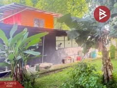 ขายบ้านเดี่ยวพร้อมที่ดิน เนื้อที่ 3 งาน 15 ตร.วา หางดง เชียงใหม่-202510241716391761300999617.jpg