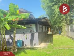 ขายบ้านเดี่ยวพร้อมที่ดิน เนื้อที่ 3 งาน 15 ตร.วา หางดง เชียงใหม่-202510241716401761301000136.jpg