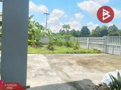 ขายบ้านเดี่ยวชั้นเดียว เนื้อที่ 1 งาน 20 ตร.วา แปลงยาว ฉะเชิงเทรา-202510241725371761301537978.jpg