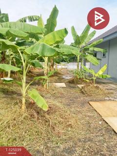 ขายบ้านเดี่ยวชั้นเดียว เนื้อที่ 1 งาน 20 ตร.วา แปลงยาว ฉะเชิงเทรา-202510241725421761301542614.jpg