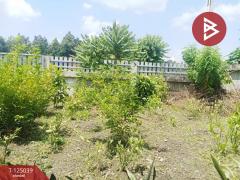 ขายบ้านเดี่ยวชั้นเดียว เนื้อที่ 1 งาน 20 ตร.วา แปลงยาว ฉะเชิงเทรา-202510241725431761301543144.jpg