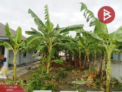 ขายบ้านเดี่ยวชั้นเดียว เนื้อที่ 1 งาน 20 ตร.วา แปลงยาว ฉะเชิงเทรา-202510241725431761301543937.jpg