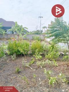 ขายบ้านเดี่ยวชั้นเดียว เนื้อที่ 1 งาน 20 ตร.วา แปลงยาว ฉะเชิงเทรา-202510241725441761301544467.jpg