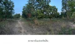 ขายที่ดินว่างเปล่ามือสอง    อำเภอเมืองอำนาจเจริญ   อำนาจเจริญ