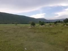 โปรปังทรัพย์ดีปลายปี68  ขายที่ดินสวยติดภูเขา เทือกเขายาวเรียงแนว ดินดีสมบูรณ์ทรัพย์ในดิน ฟ้าใสวิวหลักล้าน ต.นาจาน อ.สีชมพู จ.ขอนแก่น 