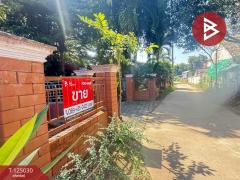 ขายบ้านเดี่ยว เนื้อที่ 2 ไร่ 19.6 ตร.วา อุโมงค์ ลำพูน-202510250930281761359428255.jpg